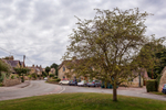 Ascott-u-Wychwood 05