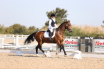 SBM_01778