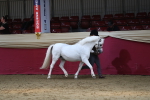 SBM_04928