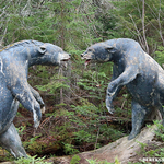 Animaland Sussex New Brunswick Canada