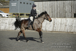 BVRC 050320 0032