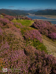 Panorama Walk, Mawddach estuary