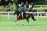 SBM_47145