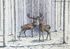 Deer in the Woods