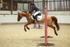 AJG_3854