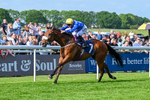 270526-Race 7-King Of The Jungle-3719
