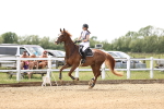 SBM_004662