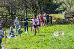 The Finish-16