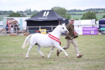 SBM_09909
