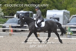 BPP_6677