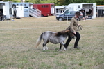 WJ6_6859