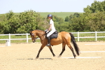 SBM_008530