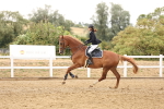 SBM_023780