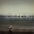 bird on cape cod bay [vintage]