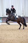 SBM_003750