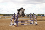 SBM_004537