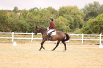 SBM_003155