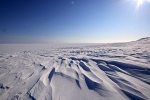 Agardhbukta 3042