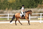 SBM_018640