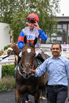 170826-Race 3-Quercus-9450