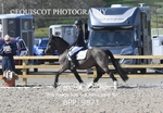 BPP_9871