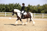 SBM_003687
