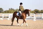 SBM_01640