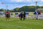 140526-Race 7-Arc Ole Ole-5995