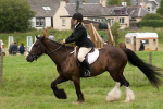 Moniaive Horse Show 2010 portfolio