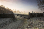 Gate to the Farm