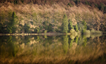 Reflections in Trentabank Reservoir (1)