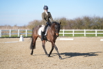 SBM_003396