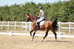 SBM_003280