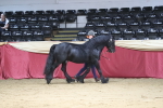 SBM_04992