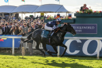 141023-Race 5-Certain Lad-0545