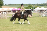 SBM_09185