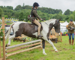 Dunblane show-137