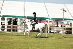 SBM_19263