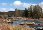 Galloway Forest