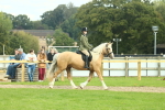 SBM_62642