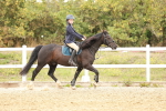 SBM_007400