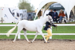 SBM_05027