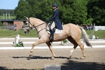 356-THE_DUMB_BLONDE-Kat_Raybould-WEDTrotUp+DR portfolio