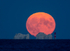 Full Sturgeon moon rising over the Needles - 3