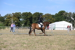 WJ6_7214