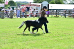 SBM_03383