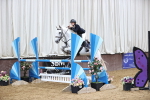 SBM_003237