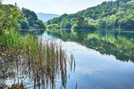 Rydal Water