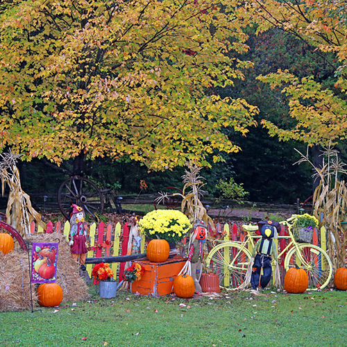 A front lawn display yields a harvest of festive gourds and associated decor.