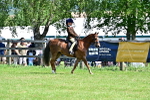 SBM_13862
